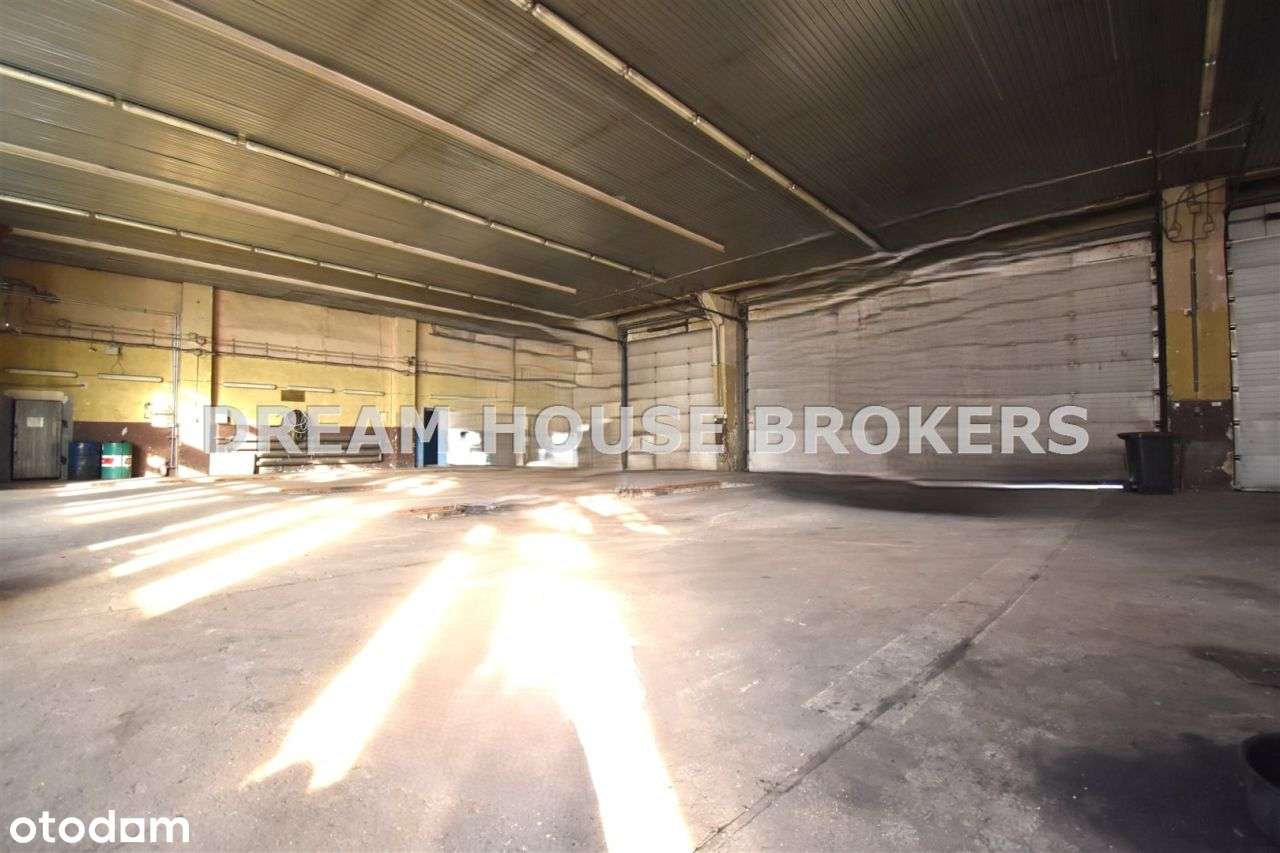 Hala na wynajem w Krośnie 1168 m/2 - Pełny obrazek: 4/11