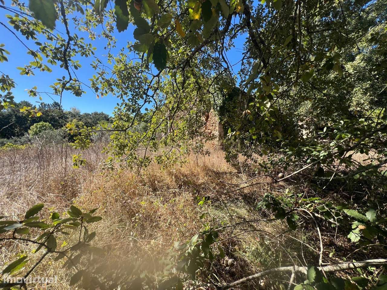 Oportunidade Única – Ruína com Terreno Amplo em Maçãs de Maria - Grande imagem: 4/7