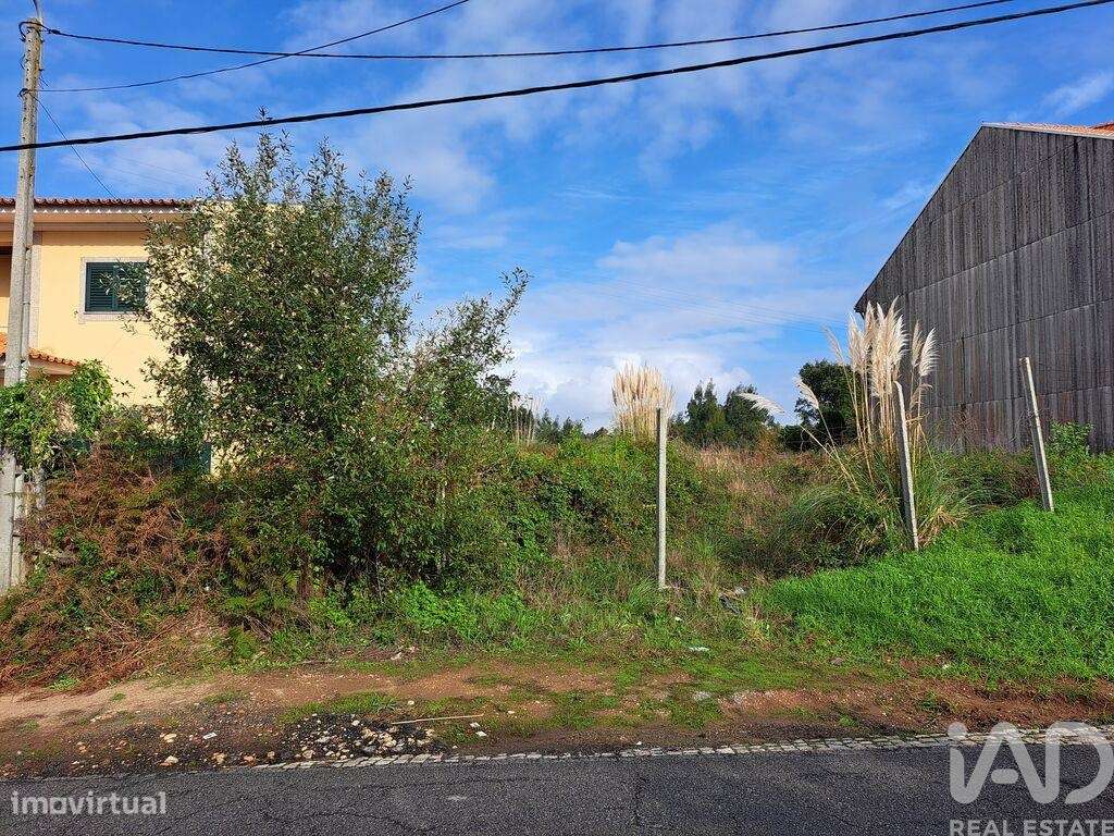 Terreno em Anta e Guetim - Grande imagem: 4/5