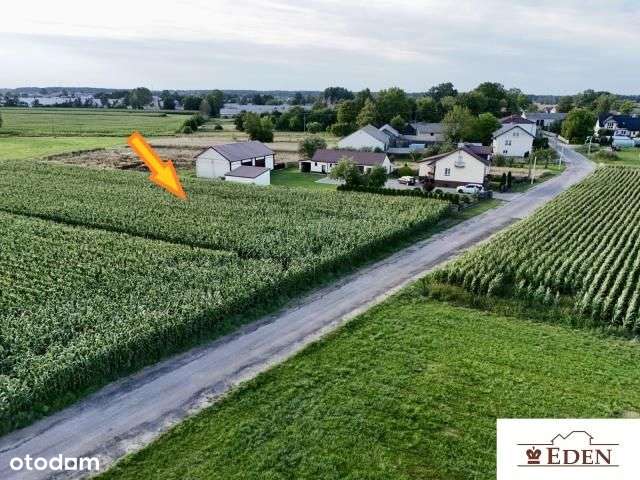 Na sprzedaż działka budowlana o pow. 3872 m - Daćbogi, gm. Wiśniew. - Pełny obrazek: 4/6