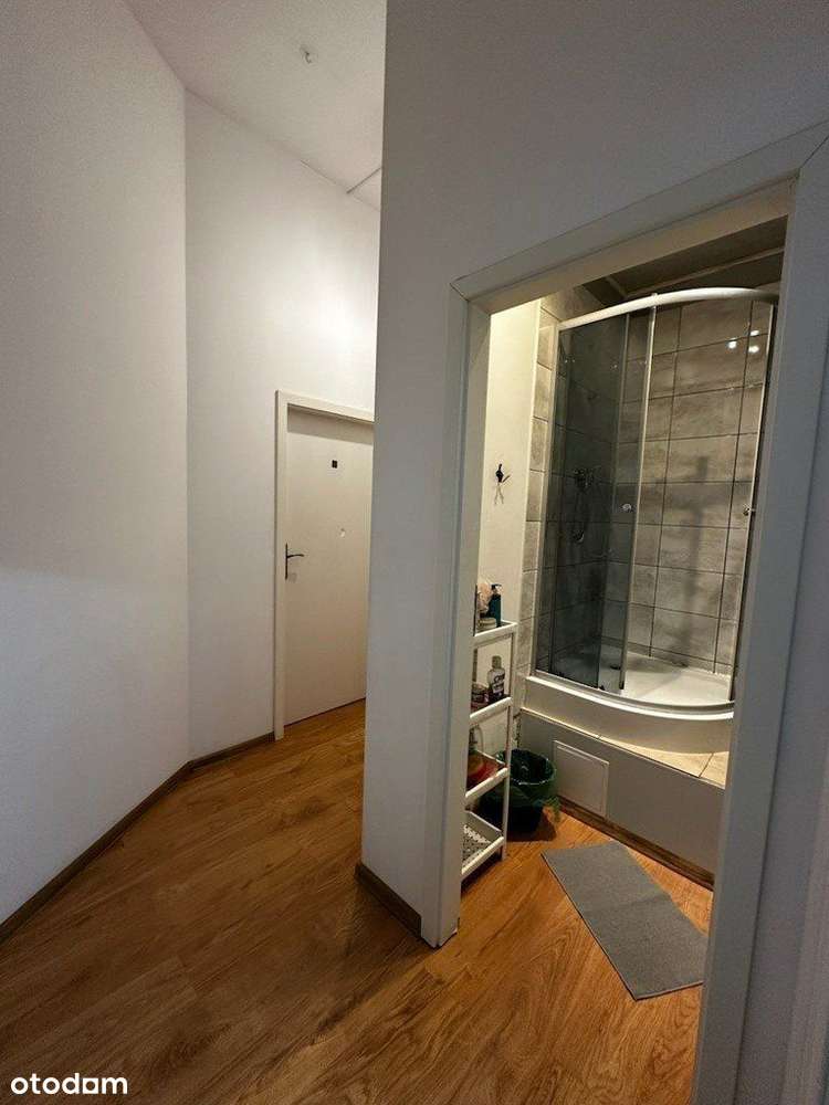 Obszerne mieszkanie w centrum Katowic-10