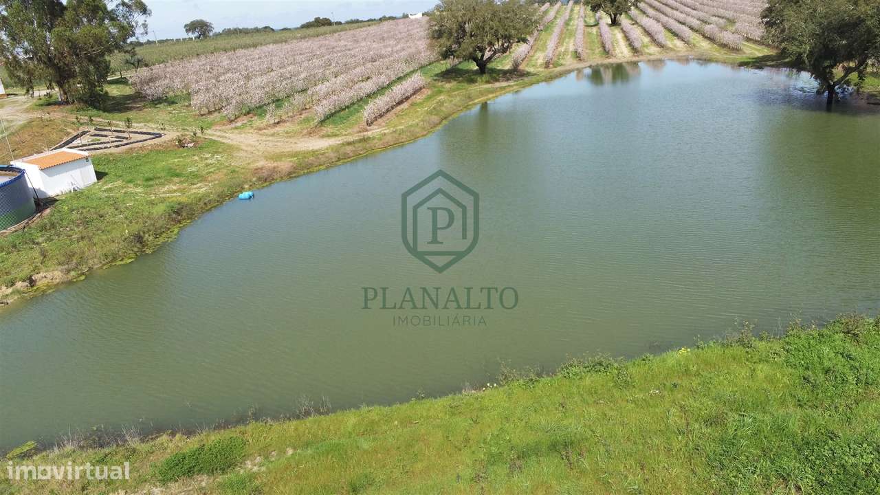 Quinta  Venda em Foros de Vale de Figueira,Montemor-o-Novo - Grande imagem: 4/7