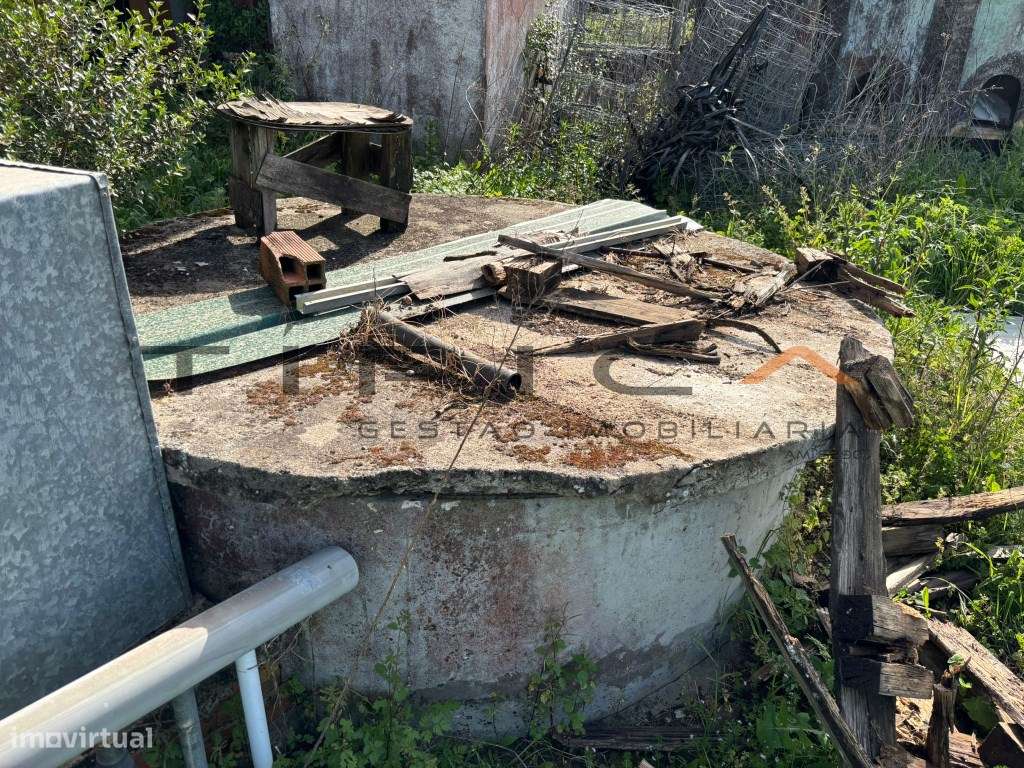 Quintinha com terreno agrícola de 2250 m2-19