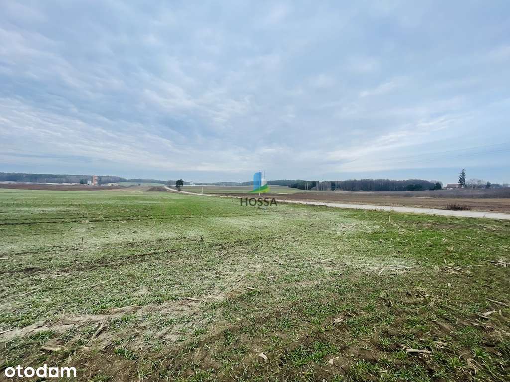 Działka budowlana w Rozdrożu k. Nidzicy - Pełny obrazek: 5/14