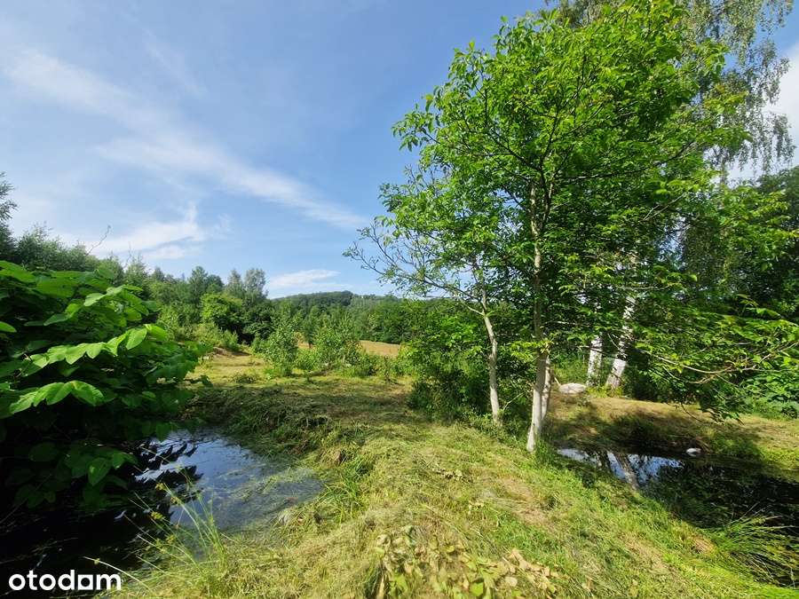 Działki w Przesiece-12