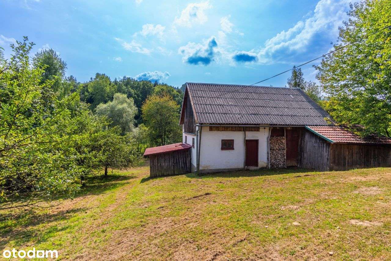 Stańkowa gm. Ustrzyki Dolne, solidny dom, sprzedaż - Pełny obrazek: 3/18