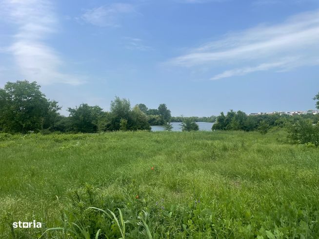 Damaroaia -Coralilor Deschidere Lac Grivita-5