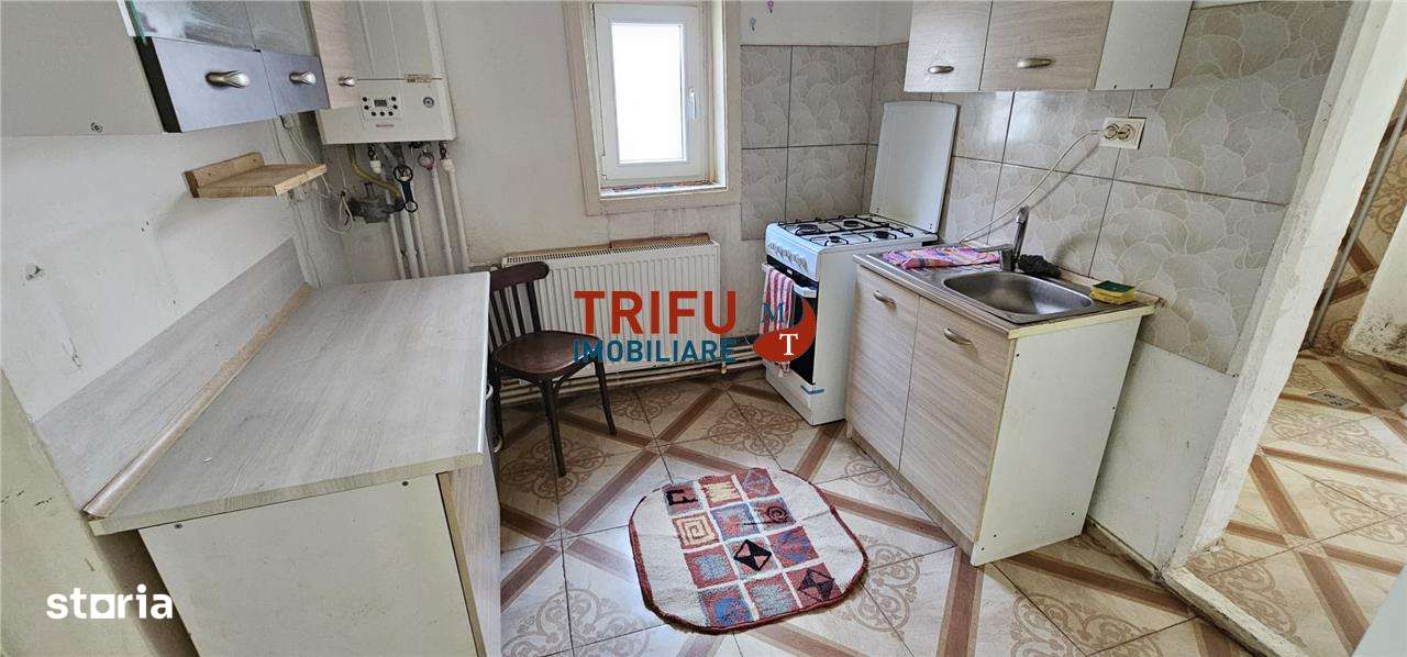 Casa de inchiriat pe nivel cu 2 camere, 2 locuri parcare Cetate - Imagine principală: 4/8