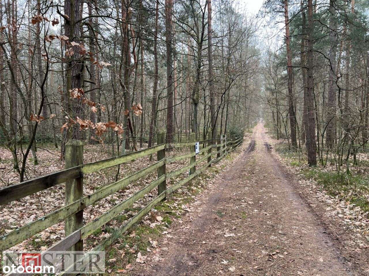 Działka, 1 340 m², Wilkowyja-5