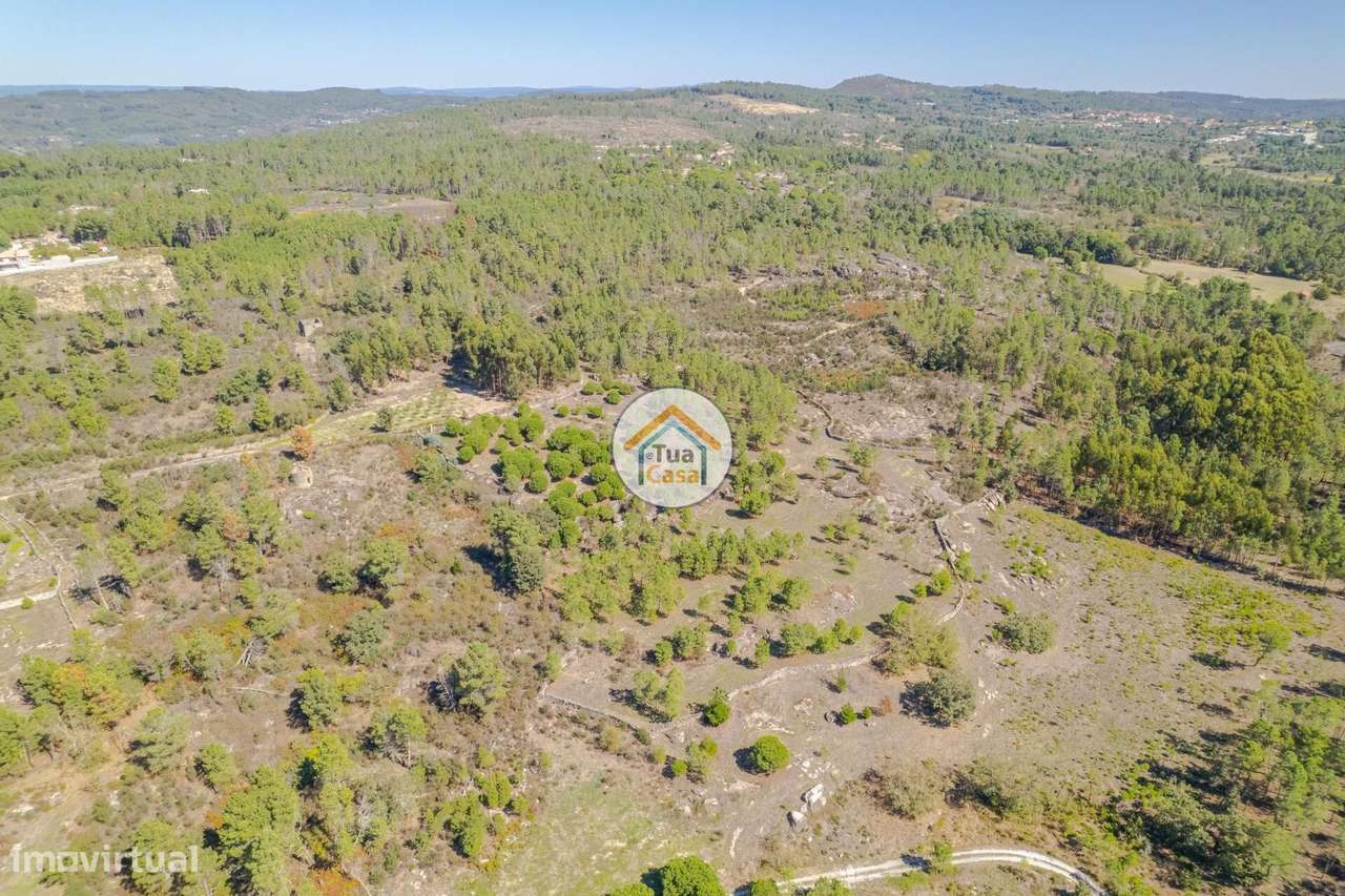 Terreno Rústico com viabilidade de construção em Mangualde - Grande imagem: 5/37