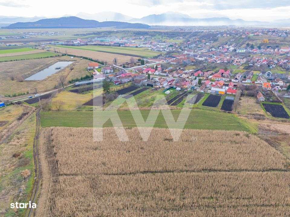 Teren 10000 mp in Extravilan, Bod, Brasov- COMISION 0%-8