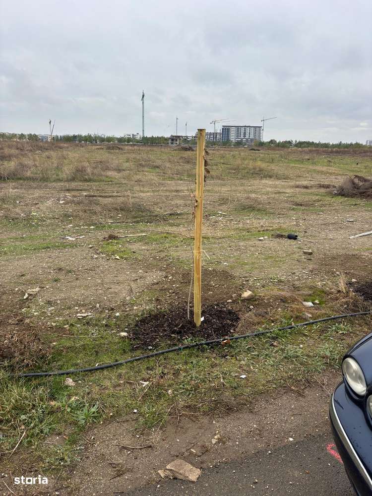 Theodor Pallady, Gura Solcii, 6000mp, vazare teren intravilan - Imagine principală: 5/10