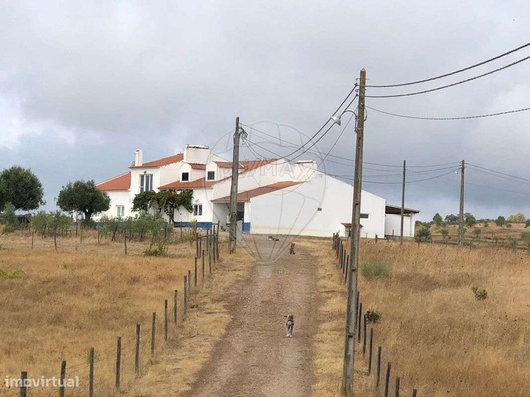 Quinta T6 para venda-9