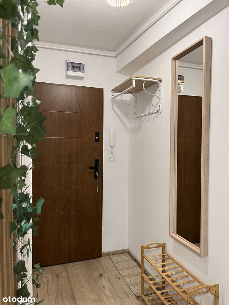 Przytulna Kawalerka na Starówce – Wynajem od 1.01.2026! - Pełny obrazek: 5/13