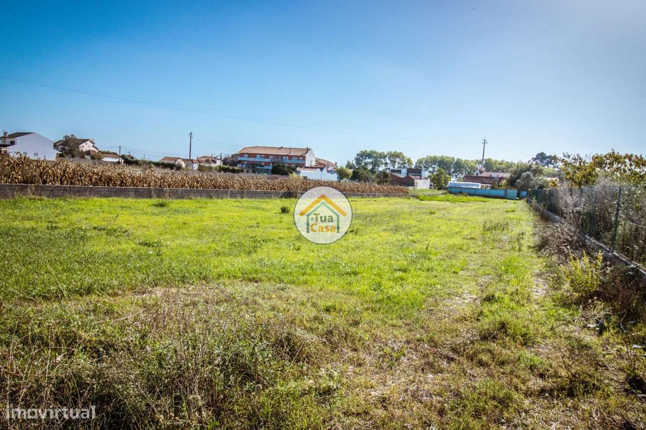 Terreno Urbano em São Bernardo, Aveiro - Grande imagem: 3/16
