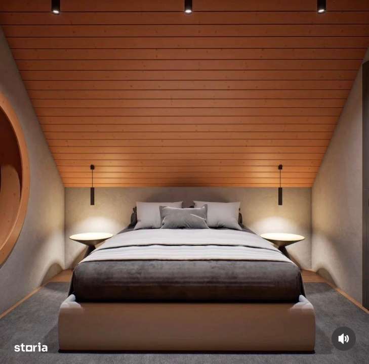 Casa / Cabana de vanzare Daia Noua la stadiul de Proiect-7