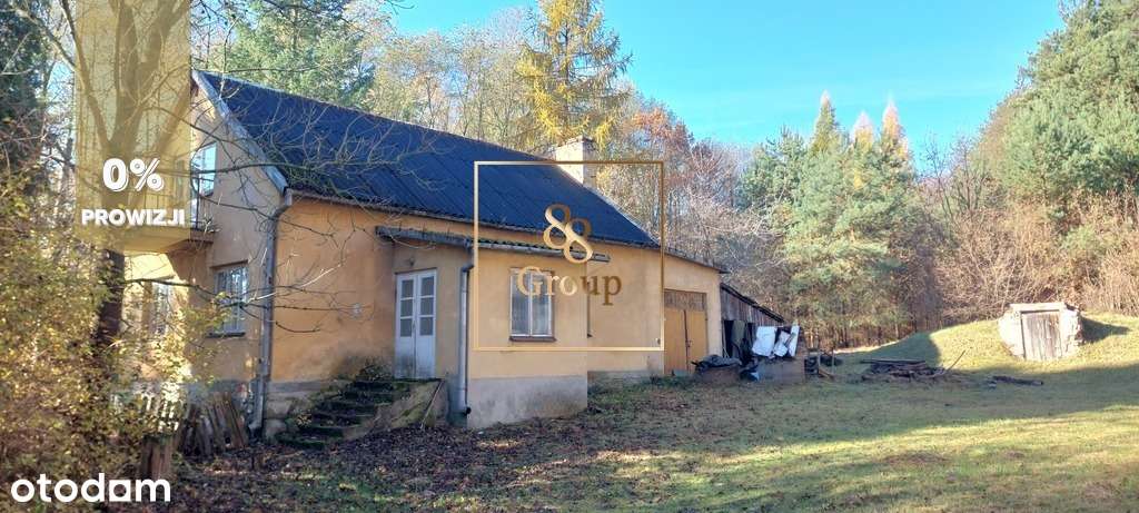 Siedlisko w sercu natury otoczone urokliwym lasem-0