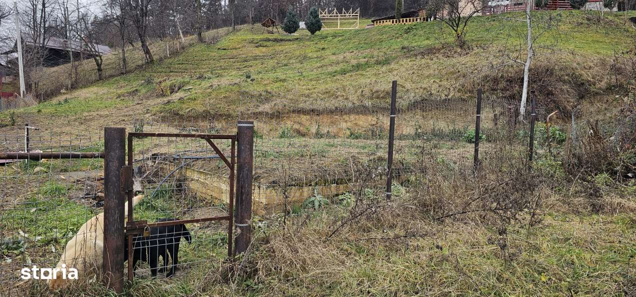 TEREN INTRAVILAN !-0