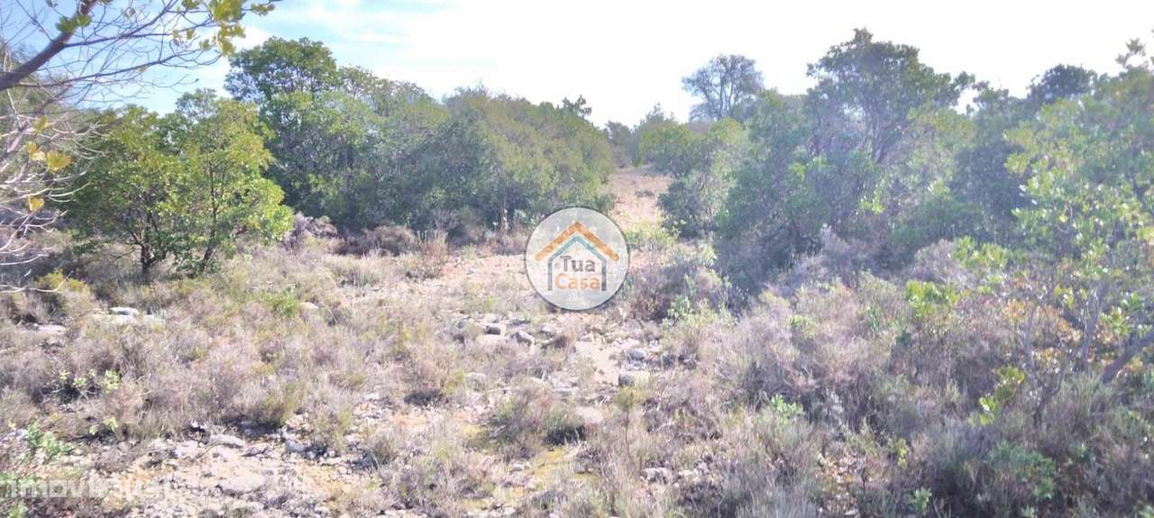 Terreno Rústico com Viabilidade de Construção nos Machados - Grande imagem: 5/26