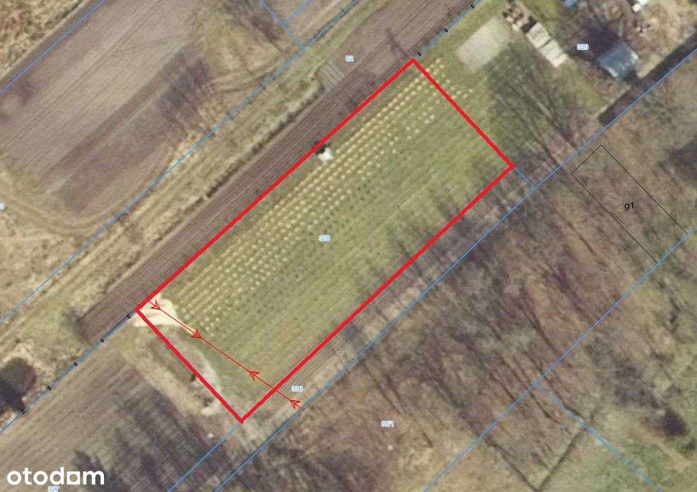 Wspaniała duża działka Gronów-4