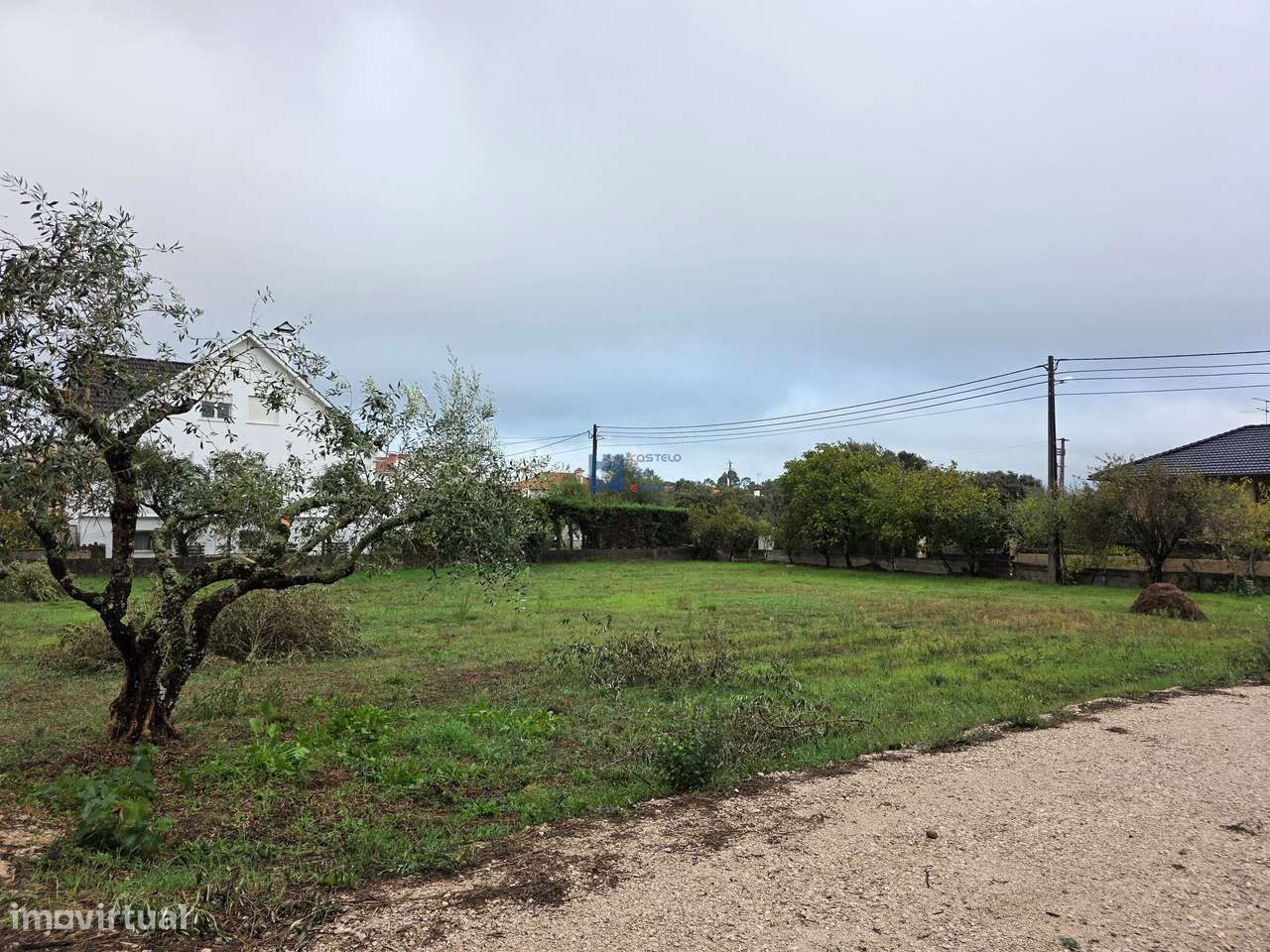Lotes de Terreno para Construção em Fátima-6
