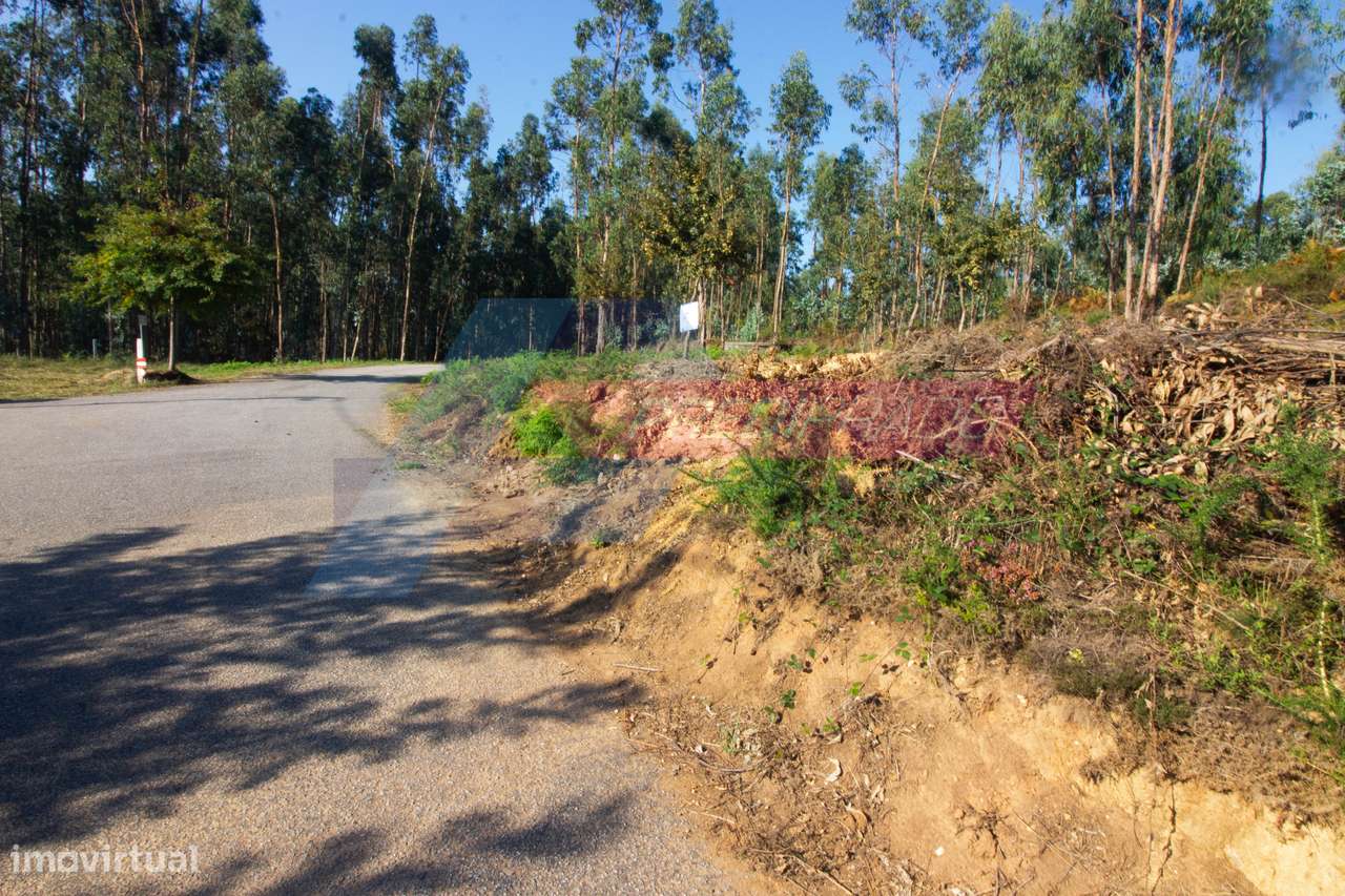 Terreno Florestal em Atiães, Vila Verde! - Grande imagem: 4/4
