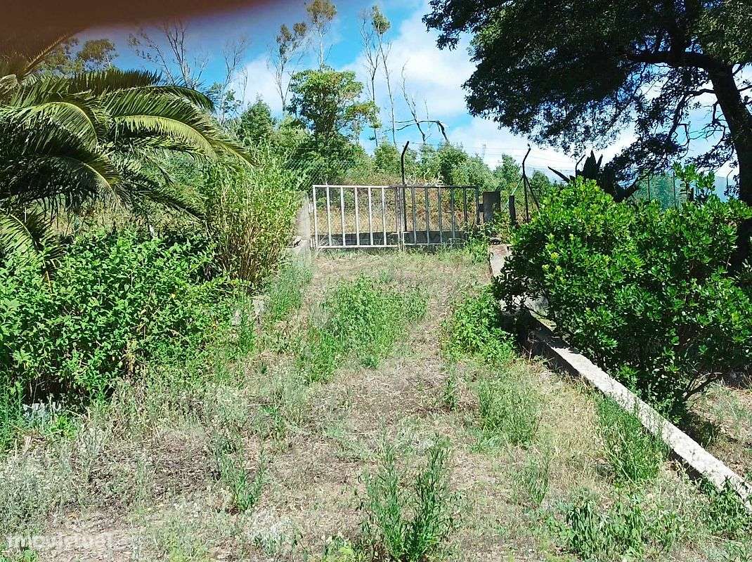 Quinta  para venda - Grande imagem: 3/10