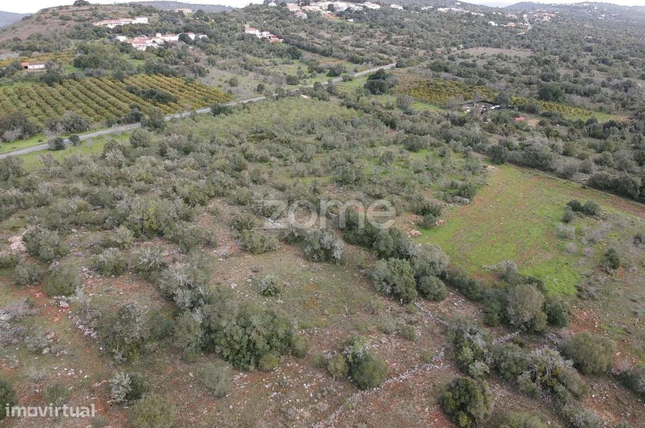 Terreno Rústico com 3.440m2 em Charneca da Torre, Messines - Grande imagem: 4/15