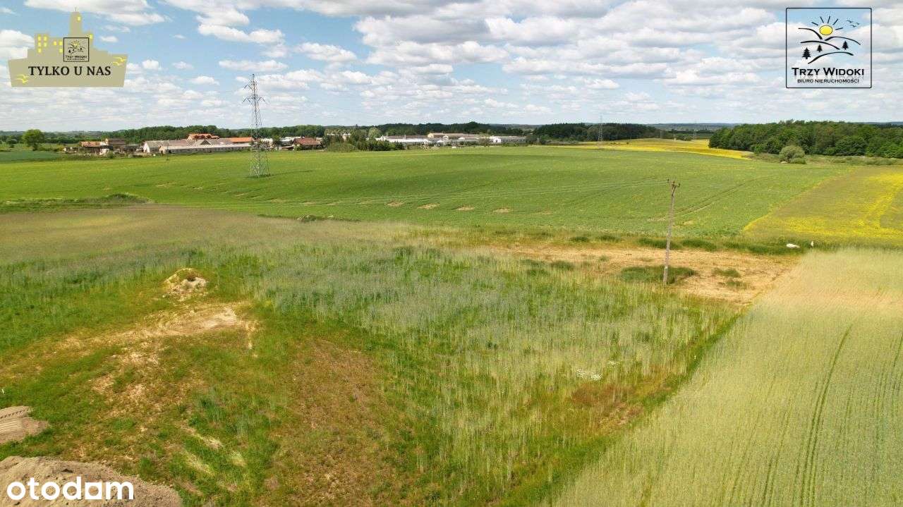 Nowoczesny**Parterowy**Duże okna**Energooszczędny-10