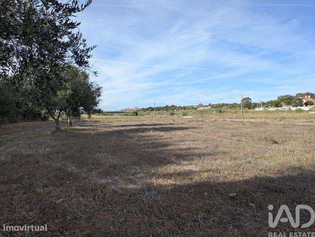 Terreno Agrícola em Estremoz - Grande imagem: 4/15
