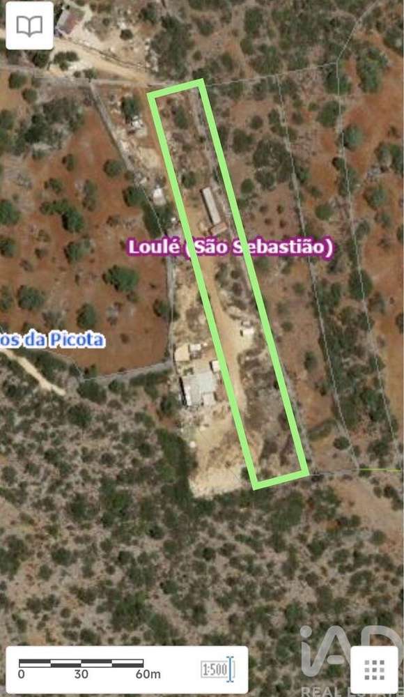 Terreno Agrícola em Loulé (São Sebastião) - Grande imagem: 4/4