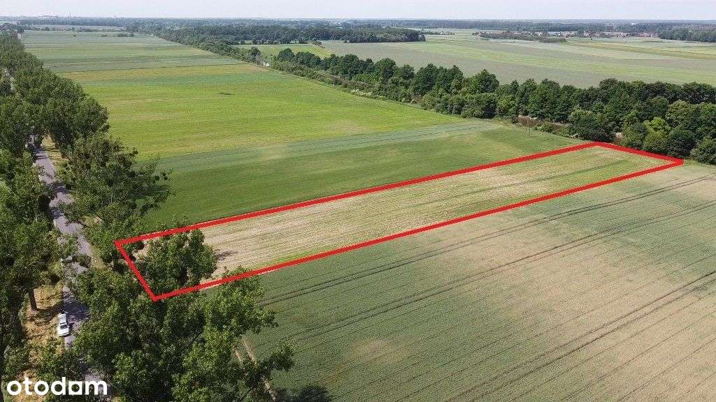 Brzeg Okolice ~ 5 Km Dojazd Asfaltowy Dw - Pełny obrazek: 4/6