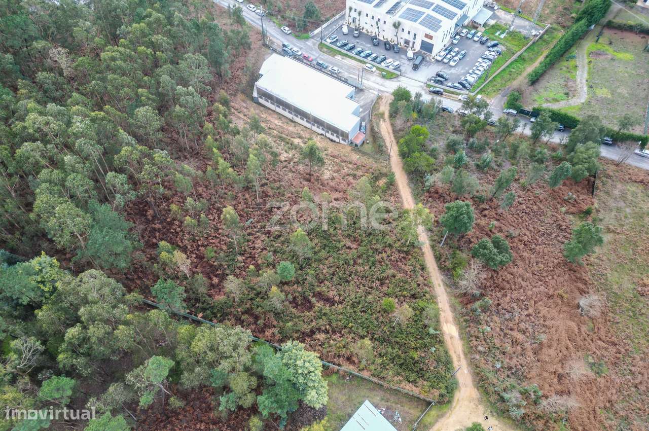 Terreno 3300m2 Vila Chã |São Roque | Oliveira de Azeméis-12