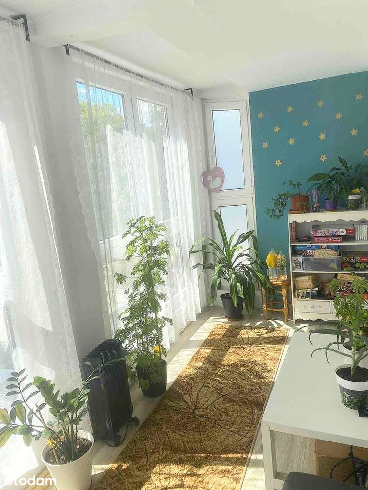 !!-OKAZJA-3pok-65m2-RYNEK-ROZKŁAD-MEDIA MIEJSKIE-WINDA-BALKON-TARAS-!! - Pełny obrazek: 5/18