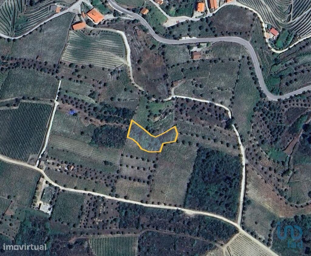 Terreno em Adorigo de 1520,00 m2 - Grande imagem: 1/6
