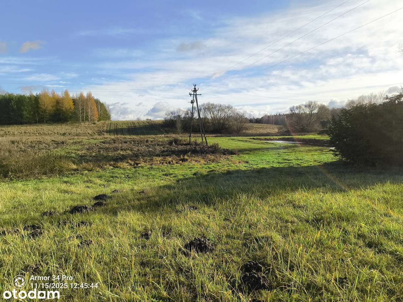 Działka z linią RZEKI Orla z WZ w Puszczy Białowieskiej, Pełne media-16