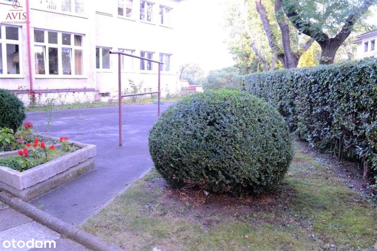 Avis Gdynia Śródmieście -Kamienna Góra Pas Nadmors-12