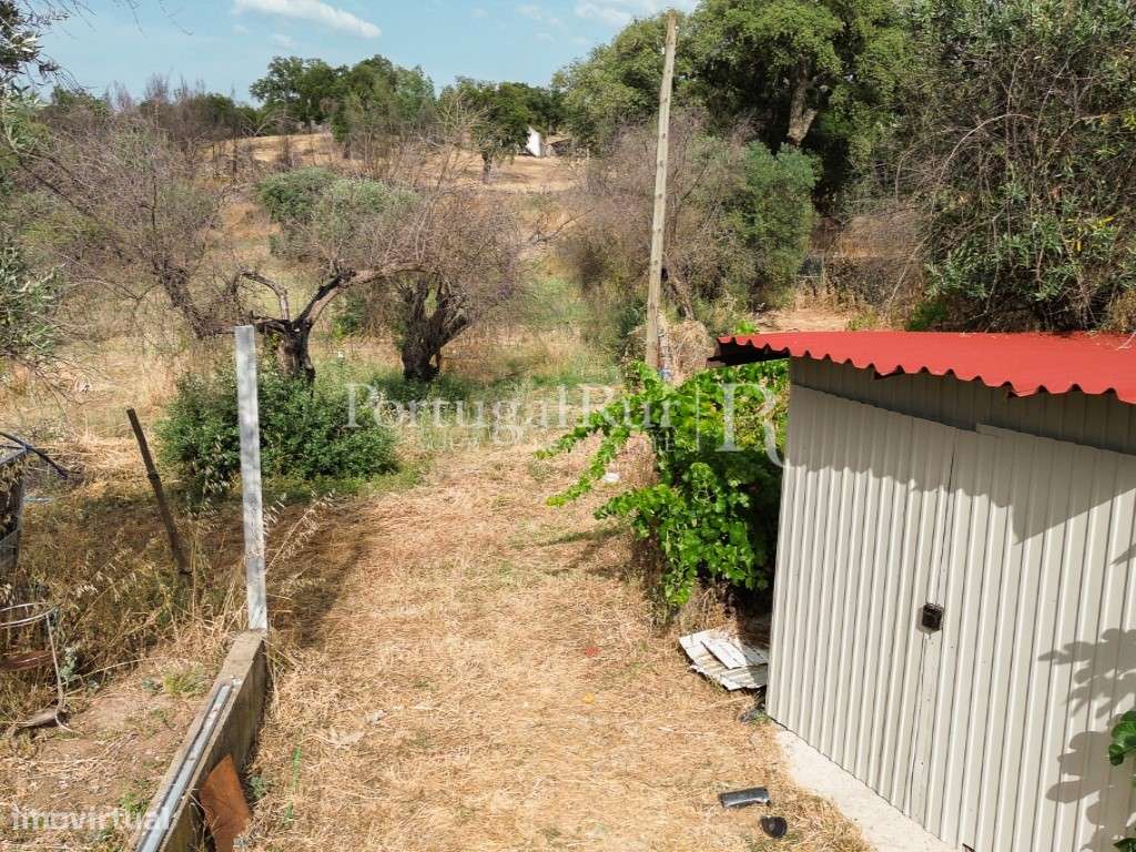 Quintinha de 1.8 hectares em Medelim-17