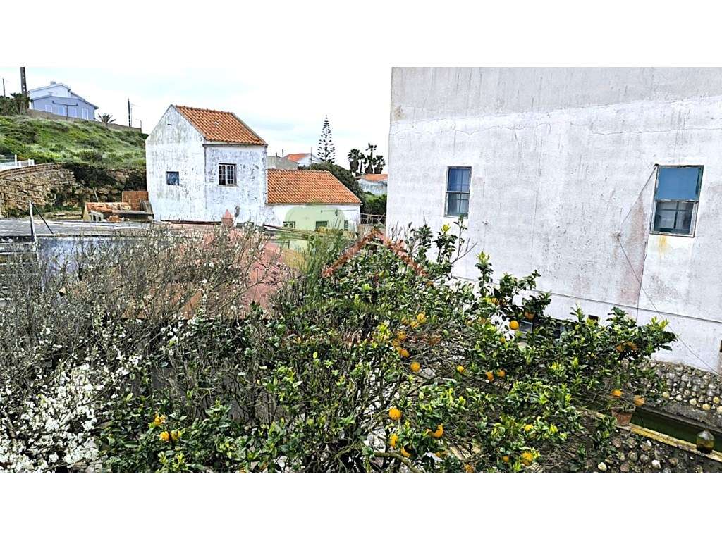 Quintinha para reconstruir com vista mar-9