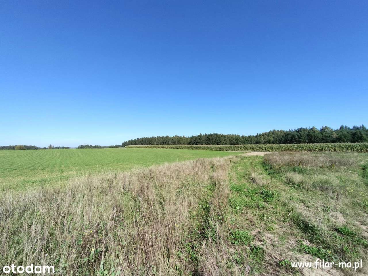 Donimierz 1000 m², 5 km od kaszubskiej ekspresówki-3