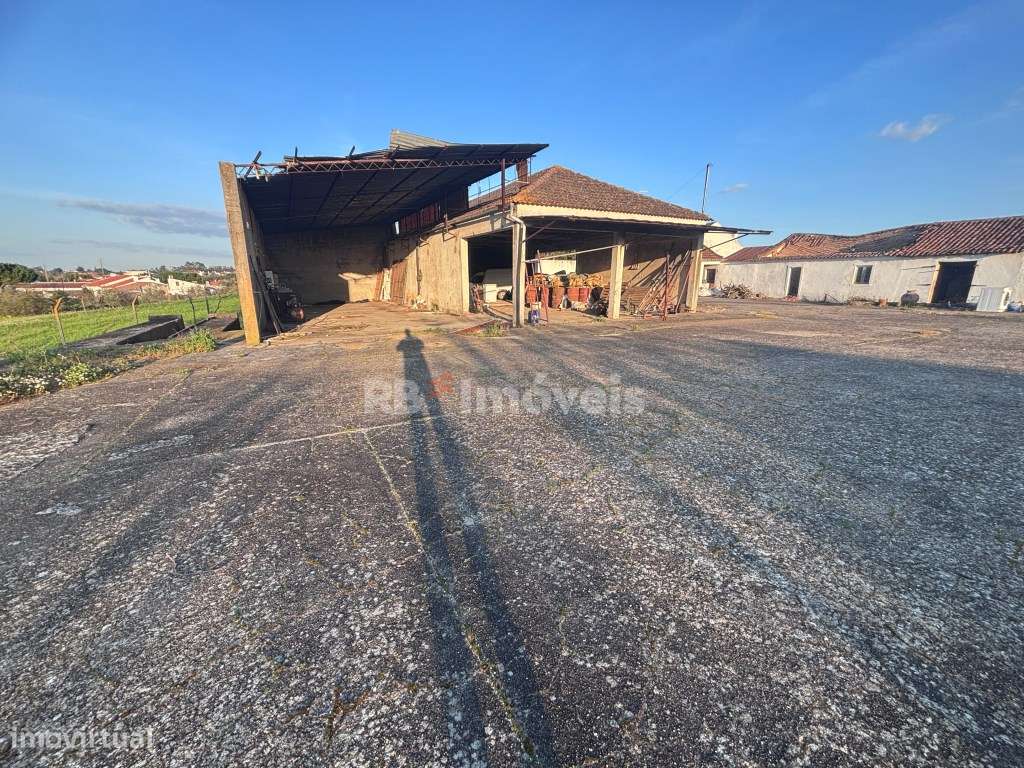 Quinta Rural em Riachos - Grande imagem: 2/20