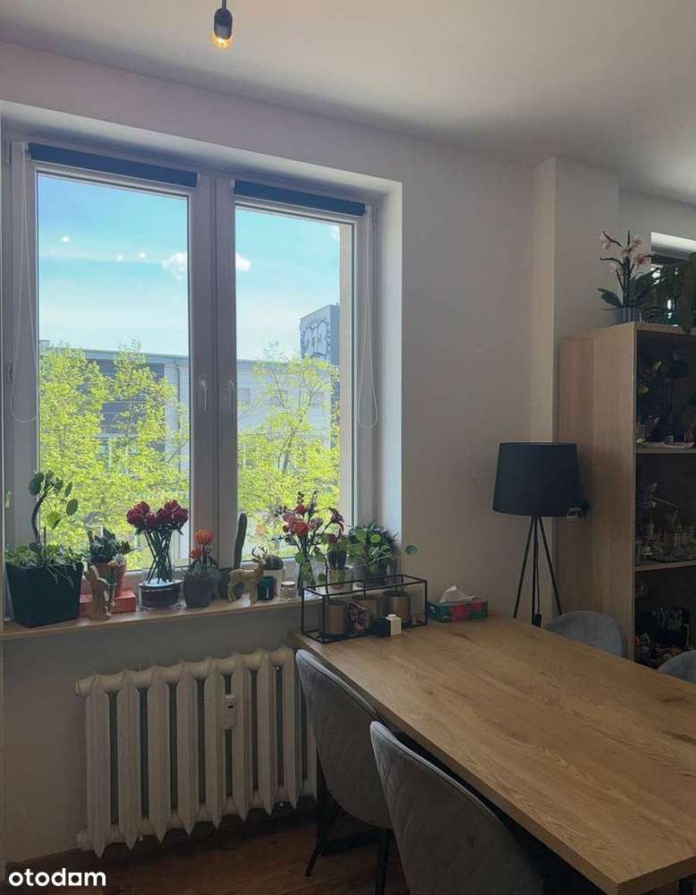 Przestronna kawalerka | 37m | kamienica - Pełny obrazek: 4/13