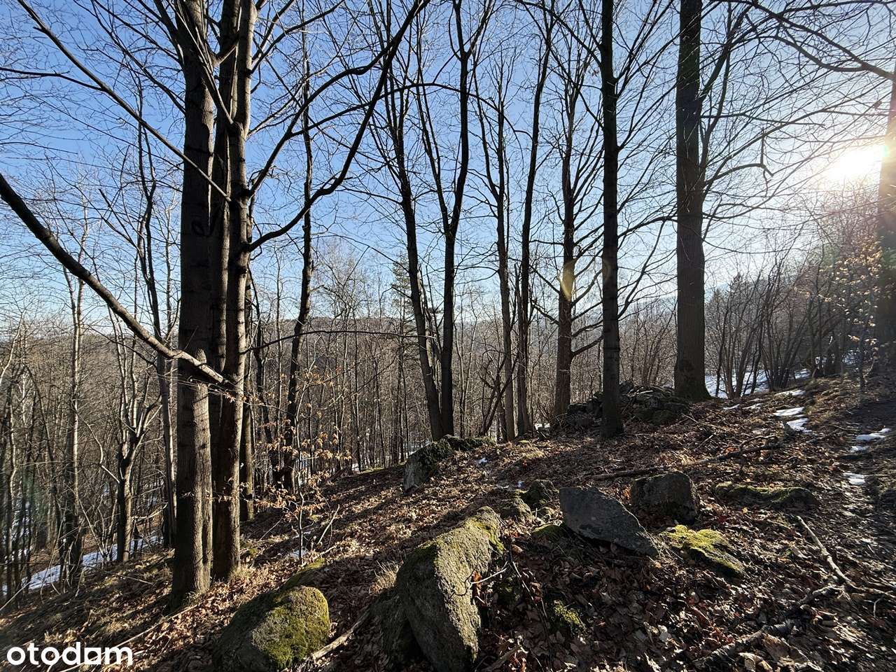 Działki w Przesiece-6