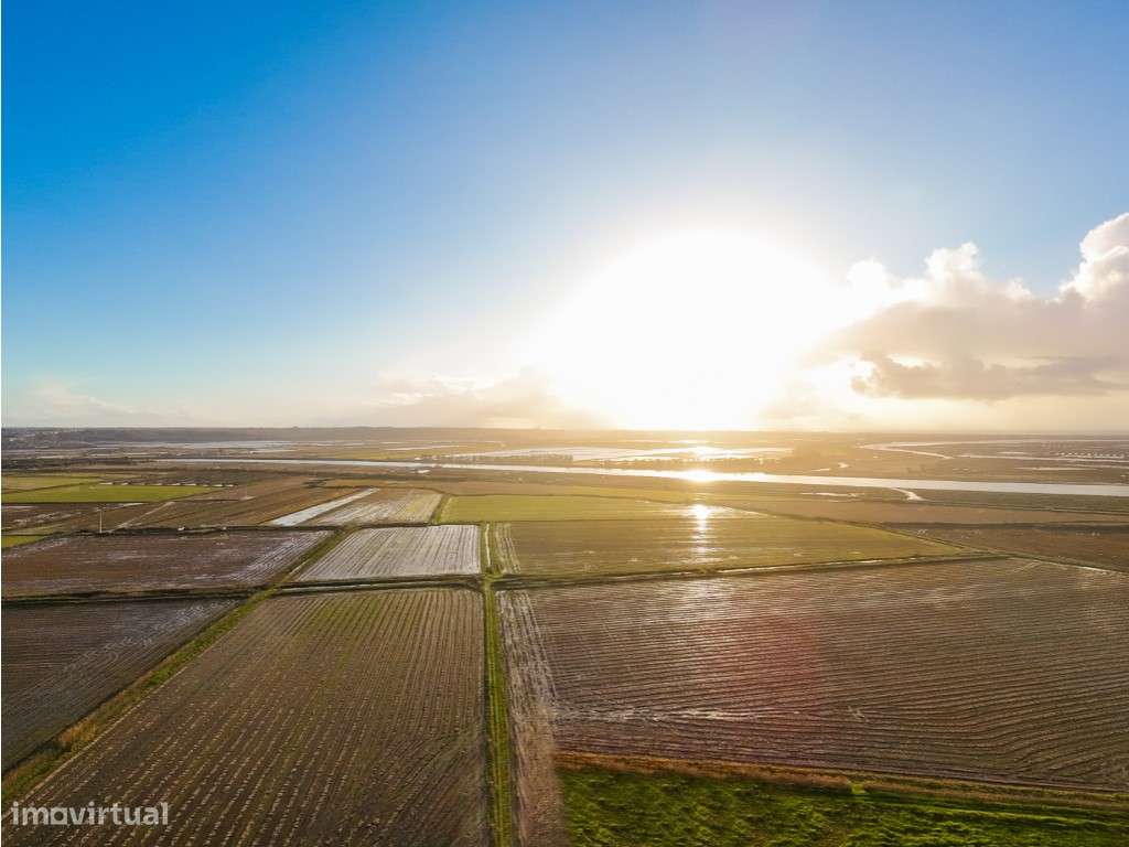 Moradia T2 na Figueira da Foz- Vila Verde-19