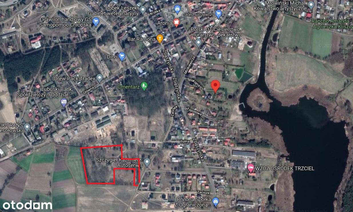 Trzciel - działki budowlane, spokojne miejsce, nowy podział, wz - Pełny obrazek: 4/5