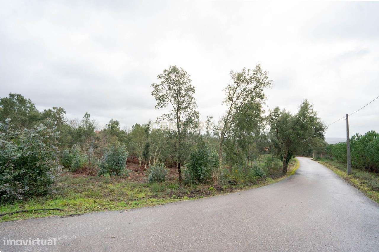 Terreno de 6.600m2 com Potencial de Construção - Vila Nova de Poiares - Grande imagem: 5/13