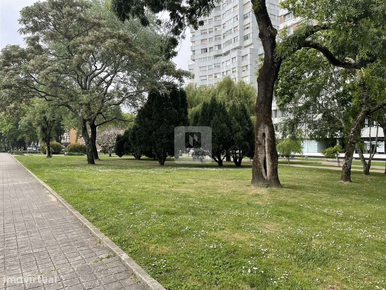 Estabelecimento Comercial em Ramalde - Grande imagem: 4/5