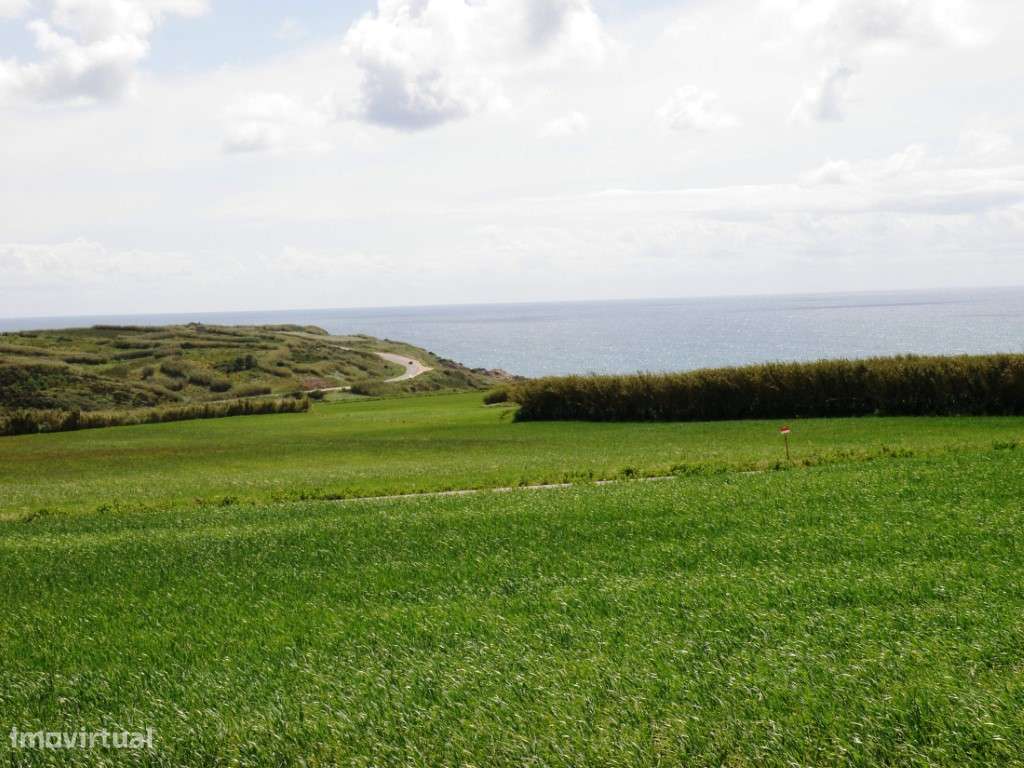 Venda de 2 Terrenos Agrícolas na zona do Paimogo, Lourinhã-10