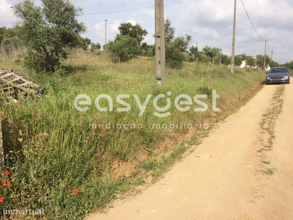 Terreno Rústico com cultura arvense a 30 minutos de Lisboa - Grande imagem: 5/8