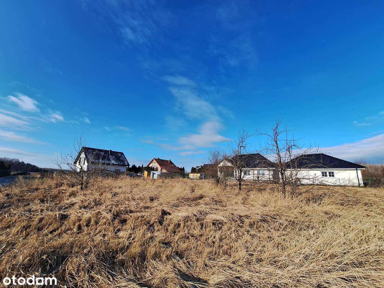 Działka w Podańsku z Miejscowym Planem Zagospodarowania - Pełny obrazek: 5/11